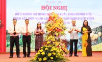 Biểu dương 80 cá nhân và hộ nông dân sản xuất, kinh doanh giỏi giai đoạn 2016-2019