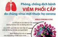 Chủ động, quyết liệt phòng chống dịch bệnh viêm đường hô hấp cấp do chủng mới của virut Corona