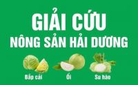 CÁC DOANH NGHIỆP, TỔ CHỨC THIỆN NGUYỆN THAM GIA HỖ TRỢ TIÊU THỤ NÔNG SẢN CHO NÔNG DÂN VÙNG DỊCH HẢI DƯƠNG